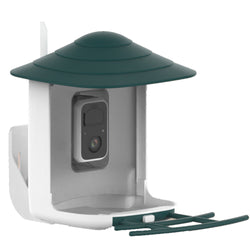 Buy green-white Bird feeder with camera and AI bird recognition for the garden